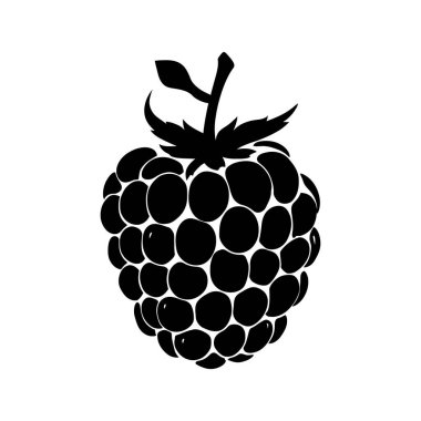 Bu koyu siyah siluet taze bir böğürtlen sunuyor. Biçimi bembeyaz bir zemin üzerinde net ve net bir görünüm veriyor..