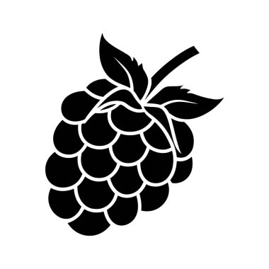 Olgun ahududu yapraklı basit bir siyah siluet beyaz bir arkaplana karşı sergilenir, eşsiz, yuvarlak şekli ve dokusu sergilenir.