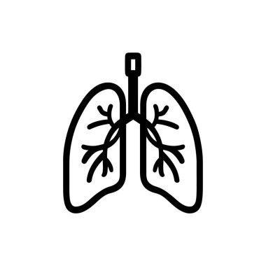 İnsan ciğerleri, beyaz arka planda basit bir anahatla hava yolu ile gösterilir..