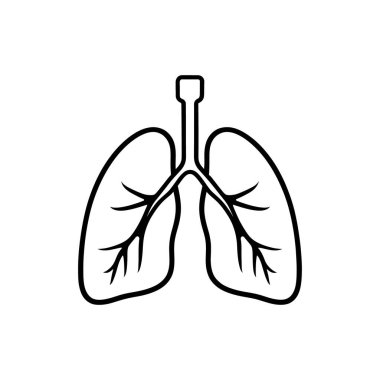 Basit siyah çizgi çizimi insan akciğerleri ve soluk borusunu gösteriyor. Detaylı dallanma yapıları var. Hepsi de beyaz arka planda..