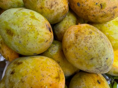 Yakından bakınca, doğal dokularını ve olgunluklarını ortaya çıkaran dağınık kahverengi benekli ve lekeli bir yığın olgun sarı mango görülüyor. yüksek çözünürlük fotoğrafı.