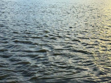 Sakin bir göl boyunca hafif dalgalar dalgalanır altın saat boyunca sakin bir atmosfer yaratır huzurlu bir su yüzeyi sunar, alacakaranlığın yumuşak ışığını yansıtır..