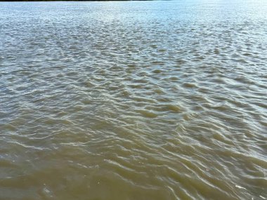 Bu yüksek çözünürlüklü fotoğraf çamurlu suyun ince güzelliğini yakalar. Küçük dalgalanmalar yumuşak güneş ışığı altında doku oluşturur. Huzurlu bir doğa sahnesi sunar..