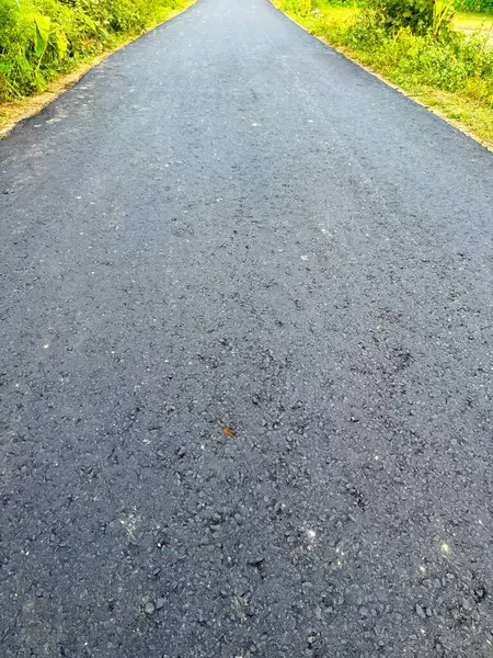 Boş asfalt yol ufka kadar uzanır. Canlı yeşillik, gösterişli doku, derinlik ve yüksek çözünürlüklü fotoğraflarda yol yüzeyiyle yol kenarı bitkileri arasındaki kontrastı gösterir..