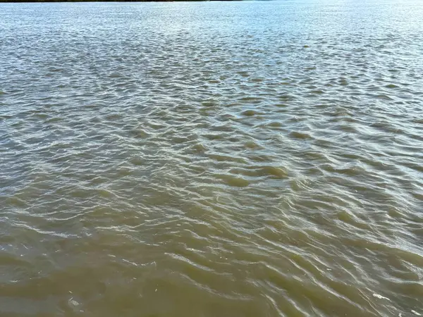 Bu yüksek çözünürlüklü fotoğraf çamurlu suyun ince güzelliğini yakalar. Küçük dalgalanmalar yumuşak güneş ışığı altında doku oluşturur. Huzurlu bir doğa sahnesi sunar..