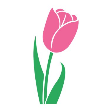 Basit bir pembe lale çiçeği, canlı yeşil yapraklarla zenginleştirilmiş, zarif bir şekilde tek başına duruyor, hepsi de beyaz bir zemin üzerinde sunuluyor, çeşitli projeler için ideal..