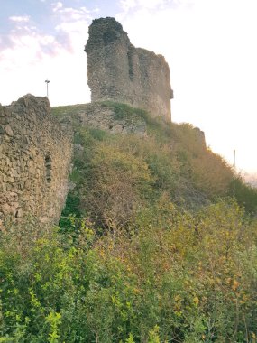 Sonbahar doğa ormanı dağları, sonbahar turizmi sonbahar resimleri güzel sonbahar ağacı tepelerini gezer.