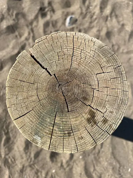 Kahverengi ahşap doku ahşap doğa kum doğal materyal soyut eski ahşap desen dizayn