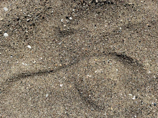 Beach Písek Textura Léto Písek Vzor Moře Pláž Tapety Oceán — Stock fotografie