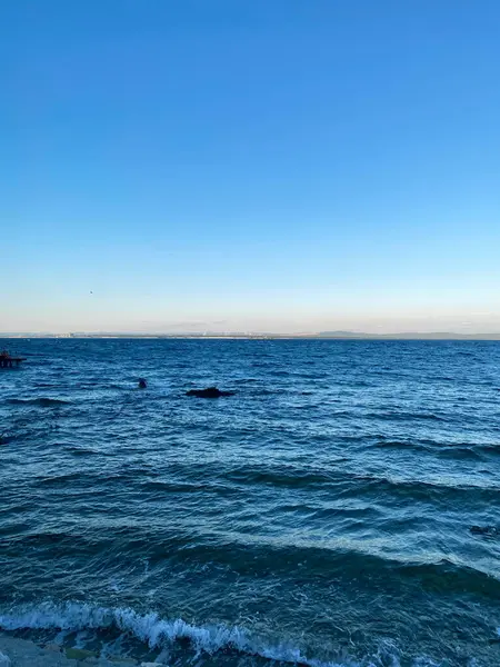 Mavi okyanus ve mavi gökyüzü yaz günbatımı su seyahati gökyüzü açık mavi