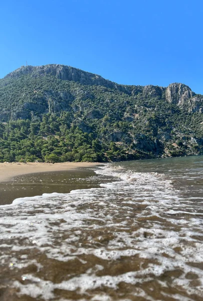 Sahilde yeşil dağ yeşil orman manzarası ve güzel okyanusa bakın.