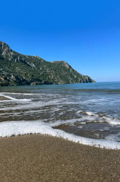 Sahilin kenarına bakın yeşil kaya yeşil orman manzarası ve güzel güneşli ağaç
