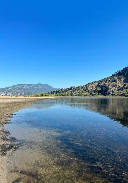 Göl kıyısında kum, mavi göl, yeşil dağ ormanı, ağaç nehir, mavi gökyüzü.