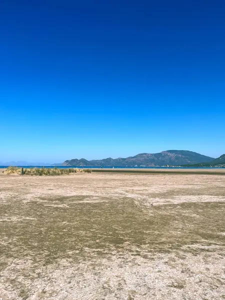 Kum denizi ve doğa okyanusu yeşil kum, mavi gökyüzü, dağ ormanı, ağaç nehri.