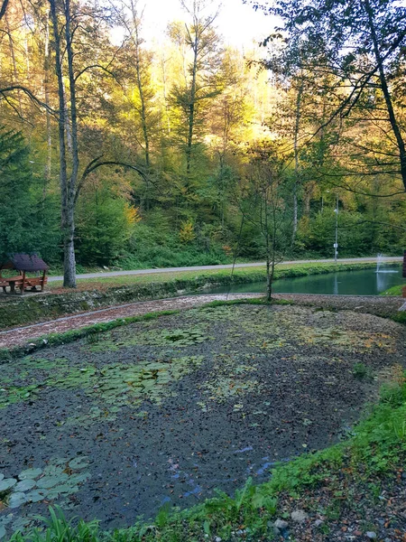 Sonbahar ormanı nehri sonbahar turizmi sonbahar resimleri nehri gezer güzel bahar gölü