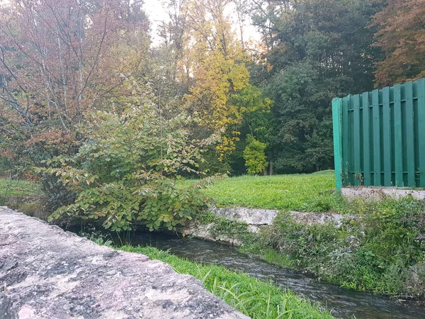 Sonbahar ormanı nehri sonbahar turizmi sonbahar resimleri nehri gezer güzel sonbahar ağacı