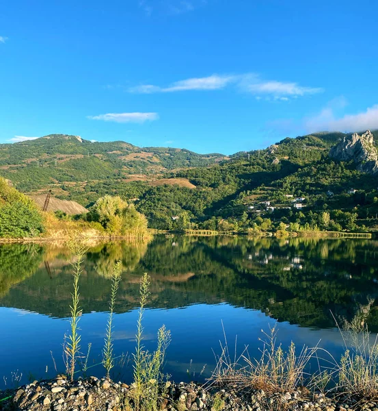 Göl dağı açık deniz ormanı ve ağaç tepesi mavi gökyüzü nehri boyunca seyahat eder.