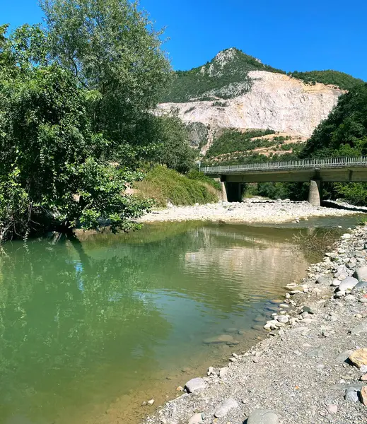 Yeşil nehir suyu doğa gölü yaz manzarası güzel orman ve ağaç