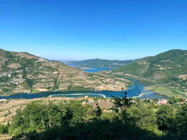 Göl dağı açık deniz ormanı ve ağaç tepesi mavi gökyüzünde seyahat eder.