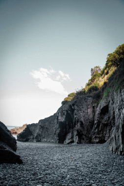 Blenheim Yeni Zelanda 'daki Maymun Körfezi' nde dramatik görünümlü bir kaya yüzeyi.