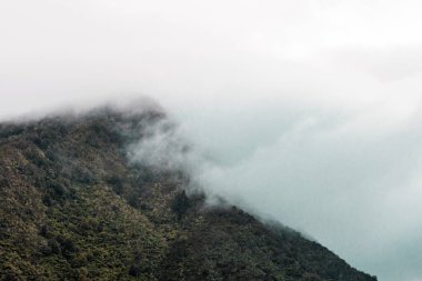 Yeni Zelanda 'da ağaçlarla kaplı bir anıt. Dağda bulut ve sis var.