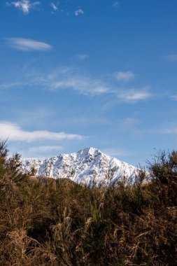 Bitkilerle kaplı bir tepenin arkasından yükselen karlı bir tepe. Dağ Queenstown, Yeni Zelanda 'da bulunabilir.