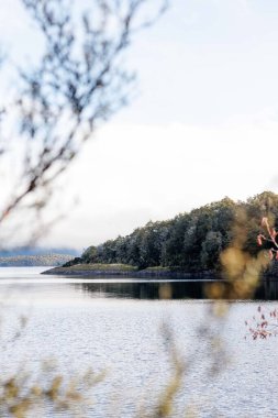 Te Anau, Yeni Zelanda 'daki bir gölün görüntüsü. Te Anau, Milford Sesleri 'ne açılan kapıdır.