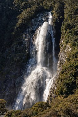 Yeni Zelanda 'nın Milford seslerinde büyük bir şelale bulunmaktadır. Büyük, yemyeşil bir bitki örtüsü var ve şelalenin üzerinde sis akıyor..