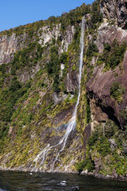 Yeşillik bitkilerle çevrili küçük bir şelalenin görüntüsü. Bu fotoğraf Milford 'un Yeni Zelanda' daki seslerinde çekildi.
