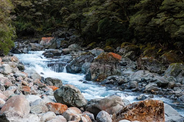 Egy Folyó Fiordlandben Zélandon Milford Sound Felé Vezető Úton Megtalálod — Stock Fotó