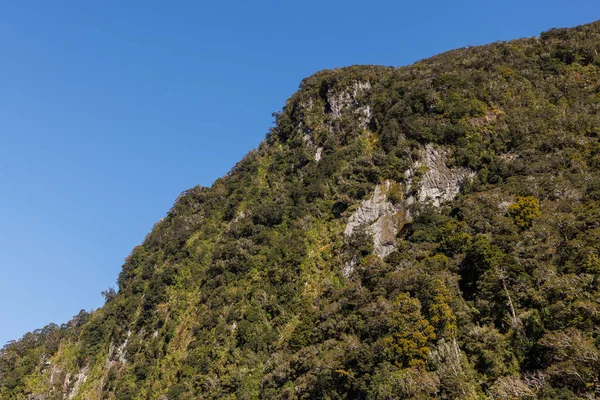 Ein Sattgrüner Hang Mit Ein Paar Felswänden Die Aus Ihm — Stockfoto
