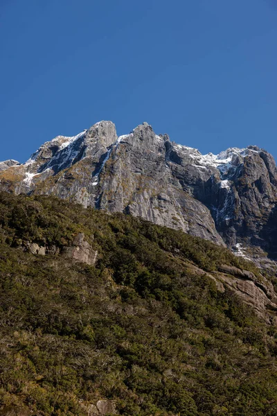 一张山顶上有雪的岩石悬崖的图片 前景是一座绿树成荫的小山 这张照片是在新西兰米尔福德的声音中拍摄的 — 图库照片