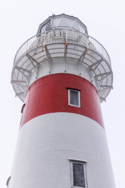 Wellington, Yeni Zelanda 'daki Cape Palliser' da bulunan bir deniz fenerinin görüntüsü. Deniz feneri, bitki yaşamı ve birçok kayanın bulunduğu engebeli bir kıyı şeridinde yer almaktadır.