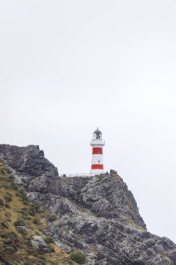 Wellington, Yeni Zelanda 'daki Cape Palliser' da bulunan bir deniz fenerinin görüntüsü. Deniz feneri, bitki yaşamı ve birçok kayanın bulunduğu engebeli bir kıyı şeridinde yer almaktadır.