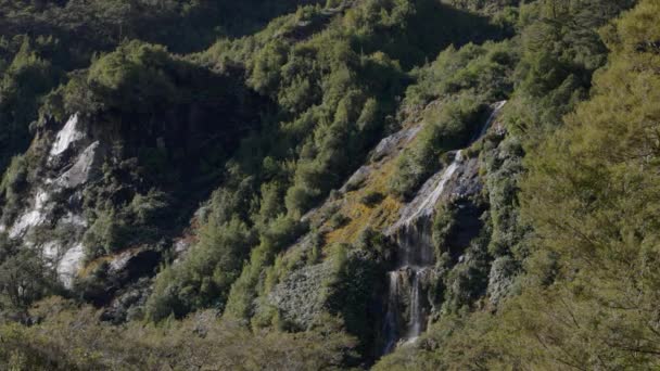 ニュージーランドのミルフォード サウンズに向かう途中の道路の側面にある小さな滝 — ストック動画