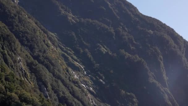 ニュージーランドのミルフォードの音で撮影されたパンニングとタイルのショット それはゆっくりと山の雪の頂点を示しています — ストック動画