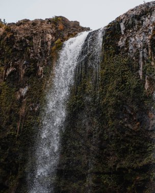 Whangarei Şelalesi 'nin açık ve aydınlık bir yaz gününde çekilmiş bir fotoğrafı. Whangarei Şelalesi Yeni Zelanda 'nın kuzeyindeki Whangarei' de yer almaktadır..