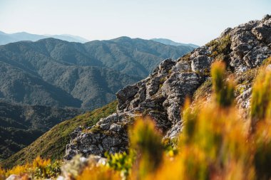 Remutaka trigonometrinin yanında kayalık bir yüz. Çekimde bol yeşillik ve geniş bir gökyüzü var. Bu fotoğraf Yeni Zelanda 'nın Wellington bölgesinde Yukarı Hutt ve Featherston arasındaki Remutakas' ta çekildi.