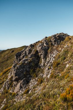 Remutaka trigonometrinin yanında kayalık bir yüz. Çekimde bol yeşillik ve geniş bir gökyüzü var. Bu fotoğraf Yeni Zelanda 'nın Wellington bölgesinde Yukarı Hutt ve Featherston arasındaki Remutakas' ta çekildi.