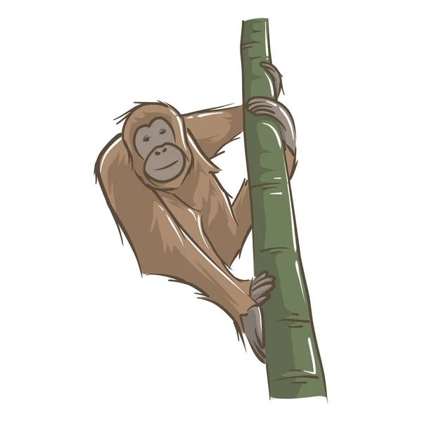 Wektorowy Obraz Małpy Drzewa Zdjęcia Dzikiej Przyrody — Wektor stockowy
