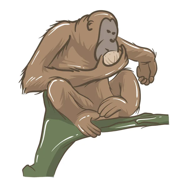 Imagem Vetorial Macaco Árvore Animais Selvagens Fotos —  Vetores de Stock