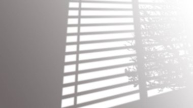 Güneşin gölgesi pencereler, dallar ve dallar tarafından engellenir.