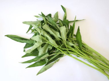 Beyaz arka planda taze lahana ve resimleme için kullanılabilir.