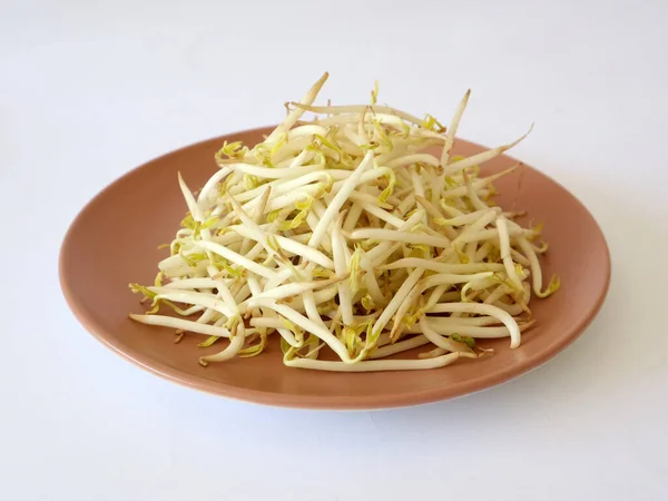 Fresh Bean Sprouts Pink Plate — Stock Photo, Image