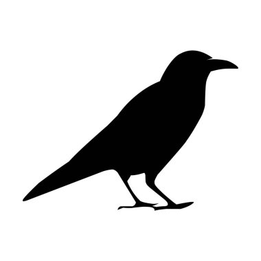 Siyah bir kuzgunun silueti. Vektör siyah beyaz illüstrasyon