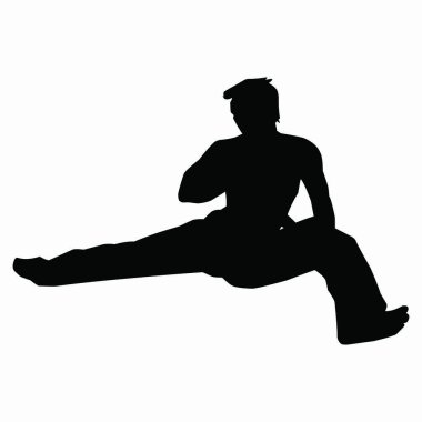 Dövüş sanatları hareketi silueti. vektör resmi