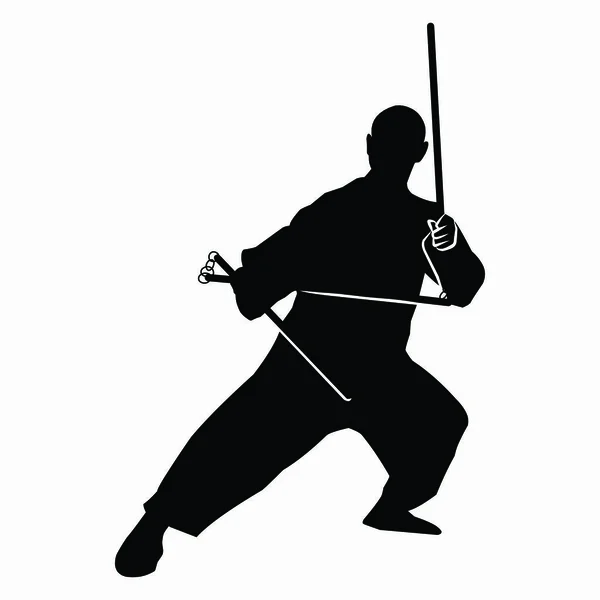 Martial Arts Movement Silhouette Vector Image — Stock Vector