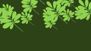 Animasyon tropikal yapraklar pürüzsüz bir döngü içinde.