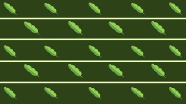 Animasyon tropikal yapraklar pürüzsüz bir döngü içinde.