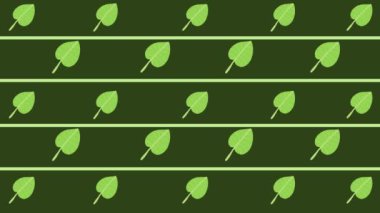 Animasyon tropikal yapraklar pürüzsüz bir döngü içinde.
